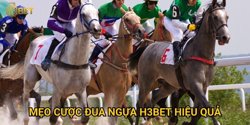 Đua ngựa H3bet có phải là lựa chọn giải trí hấp dẫn? 2 Mẹo cược Đua ngựa H3bet hiệu quả