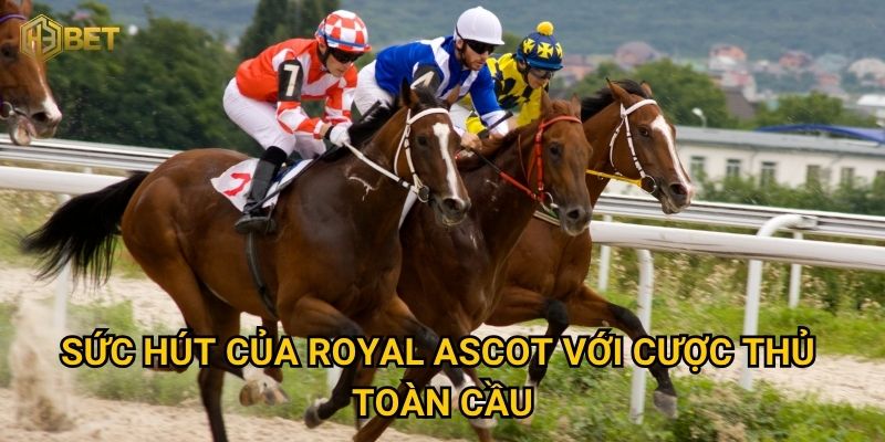Lịch sử giải đua ngựa Royal Ascot và góc nhìn từ H3bet có gì đặc biệt? 3 Sức hút của Royal Ascot với cược thủ toàn cầu