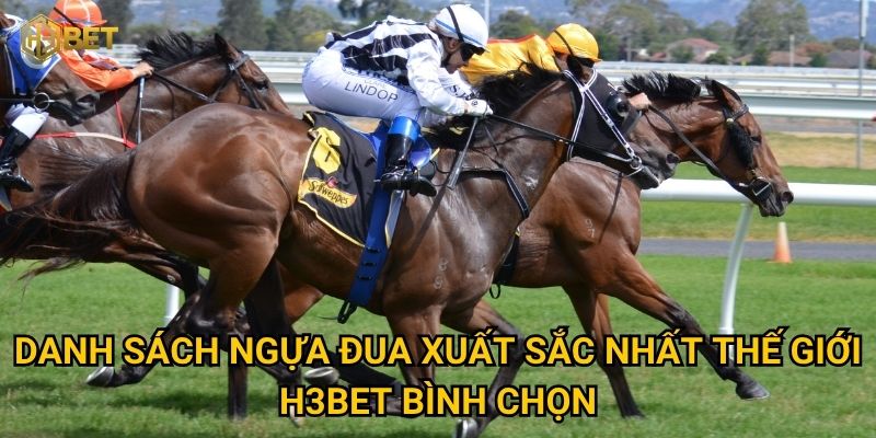 Những ngựa đua xuất sắc nhất thế giới qua góc nhìn của H3bet thế nào? 2 Danh sách ngựa đua xuất sắc nhất thế giới H3bet bình chọn