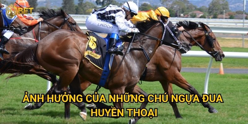 Những ngựa đua xuất sắc nhất thế giới qua góc nhìn của H3bet thế nào? 3 Ảnh hưởng của những chú ngựa đua huyền thoại
